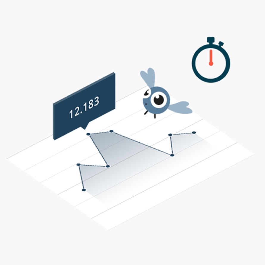 10.000 Flies 10.000 Flies