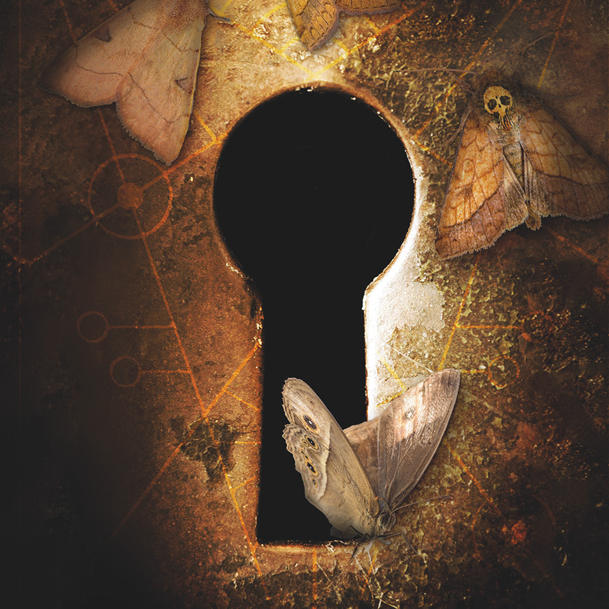 Droemer Knaur Droemer Knaur