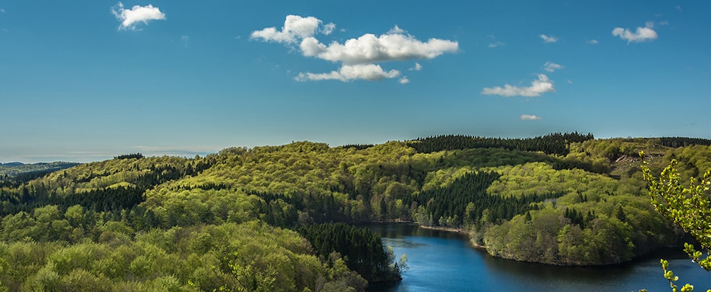 Holtzbrinck Buchverlage Website