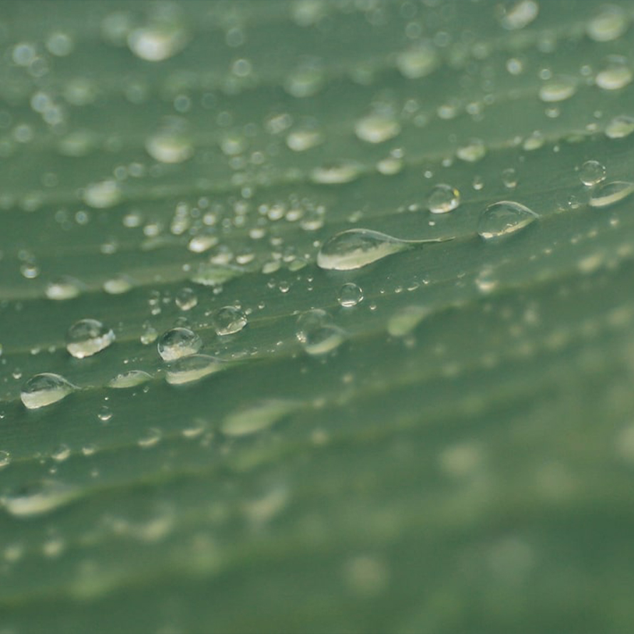 Holtzbrinck Buchverlage Holtzbrinck Buchverlage