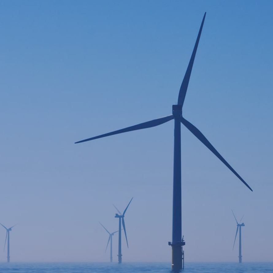 Holtzbrinck Buchverlage Holtzbrinck Buchverlage