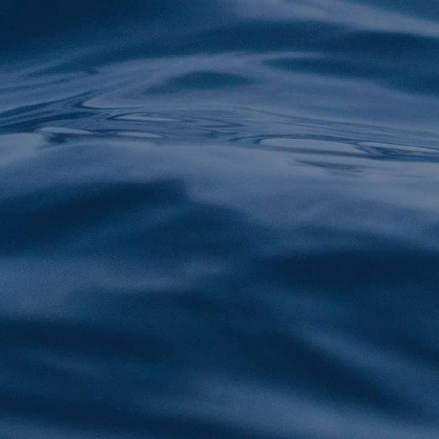 Holtzbrinck Buchverlage Holtzbrinck Buchverlage