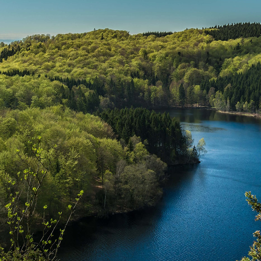 Holtzbrinck Buchverlage Holtzbrinck Buchverlage