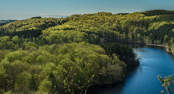 Holtzbrinck<br>Buchverlage