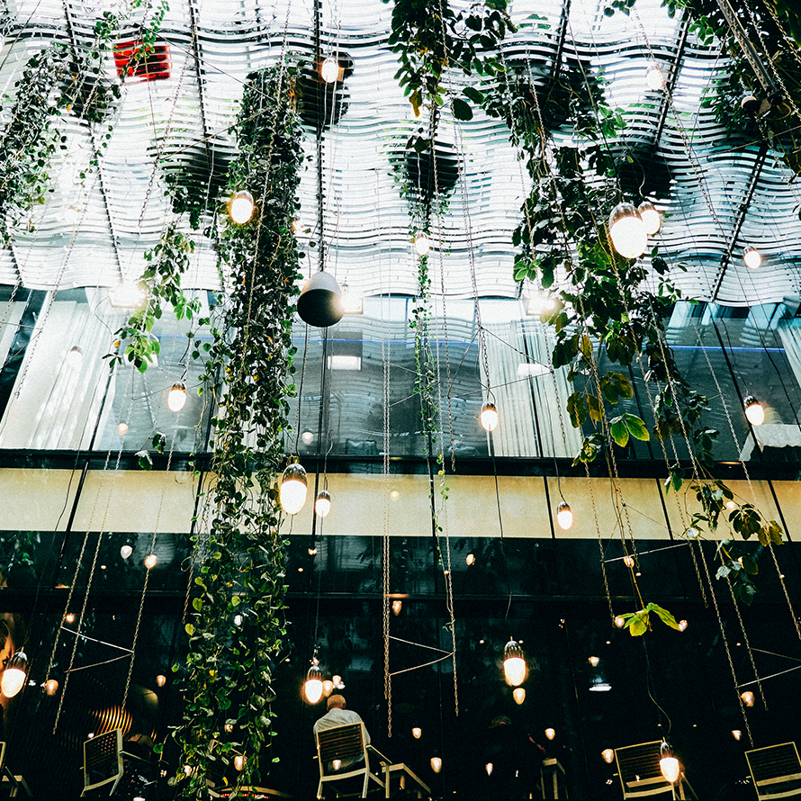 Riemenschneider Riemenschneider